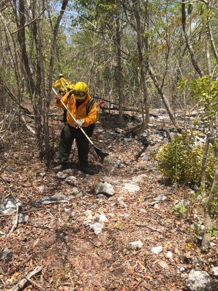 2. Combatiente abriendo brechas corta fuegos. (CONAFOR)