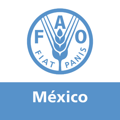 FAO México