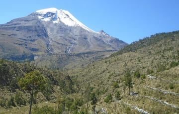 Trabajos de restauración de suelos y reforestación. (Especial)
