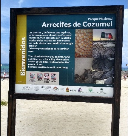 Captura de pantalla (13)