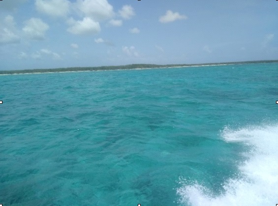 Imagen 7. Playas sin sargazo. Canal de Cozumel (agosto de 2019)