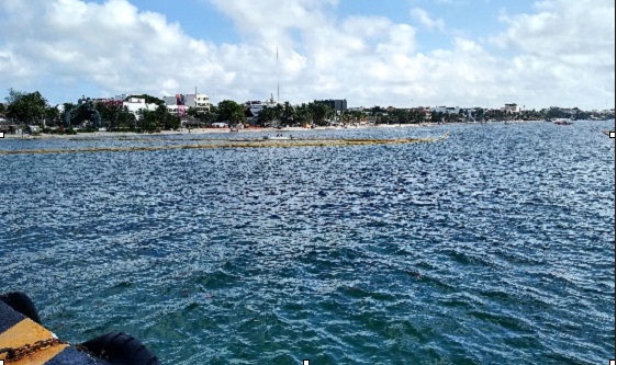 Imagen 8. Barreras contenedoras en Playa del Carmen.