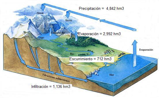 Imagen 1. Ciclo del agua