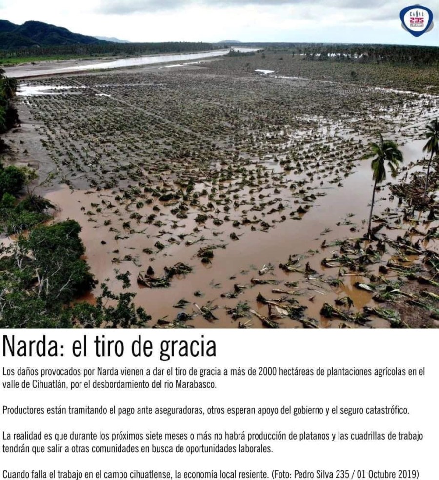 Narda, el tiro de gracia. (Información pública)