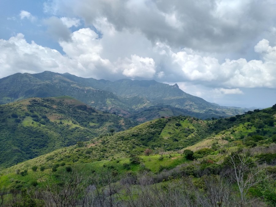 Panorámica de pérdida de bosques. (JJARR)