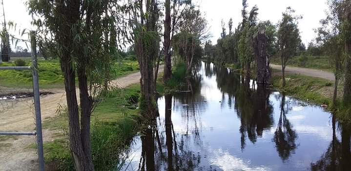Un hermoso canal...